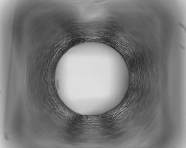 X0000095521393200712140859