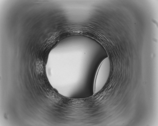 X0000095521394200712140859