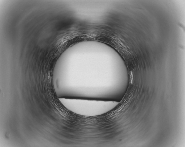 X0000095521395200712140859