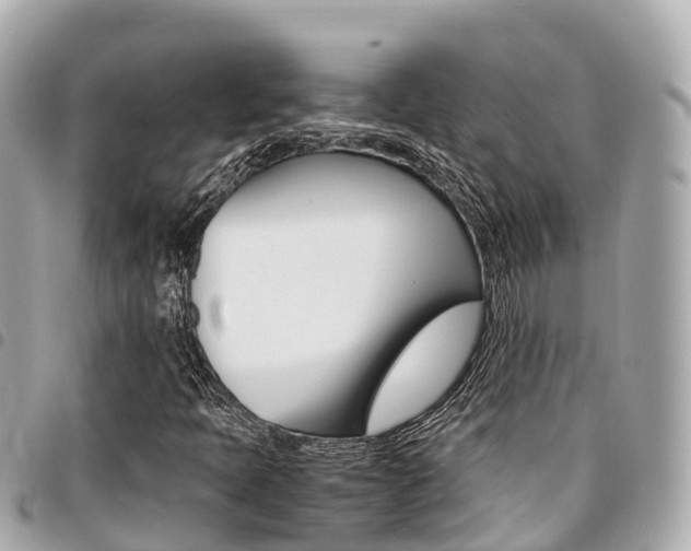 X0000095521397200712140859