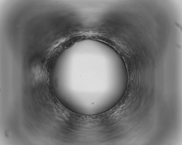 X0000095521398200712140859