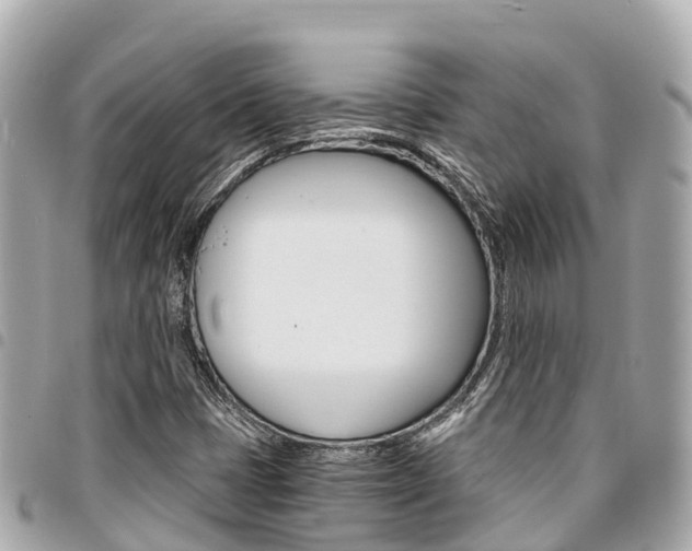 X0000095521401200712140859