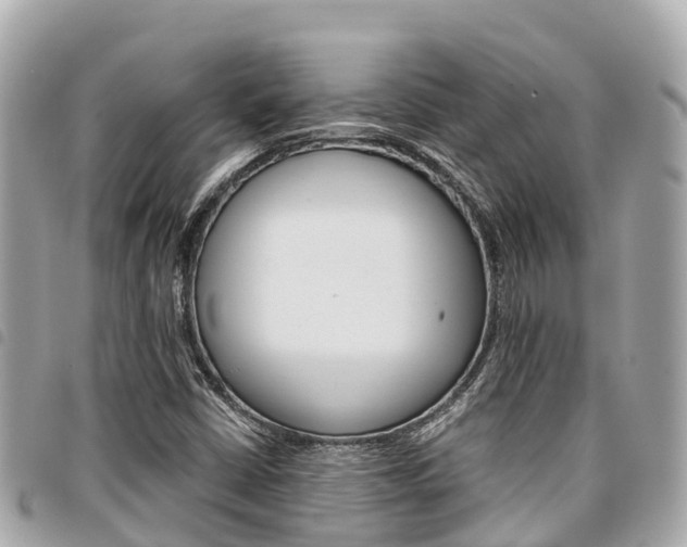X0000095521402200712140859