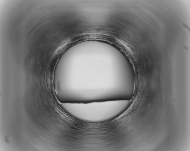 X0000095521403200712140859