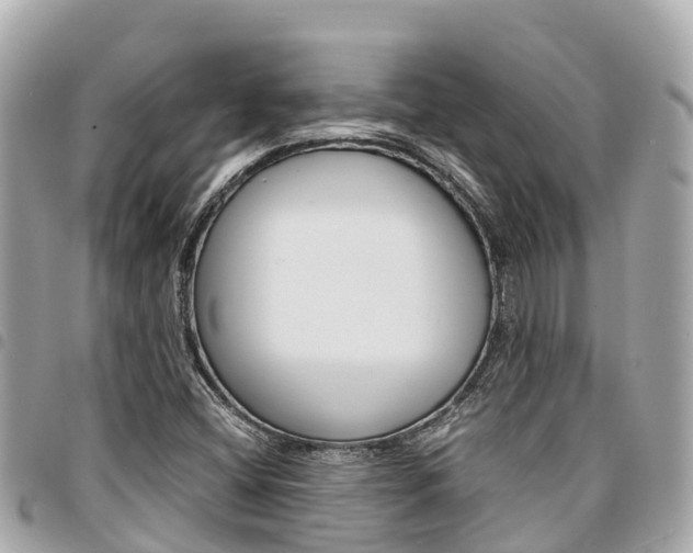 X0000095521404200712140859
