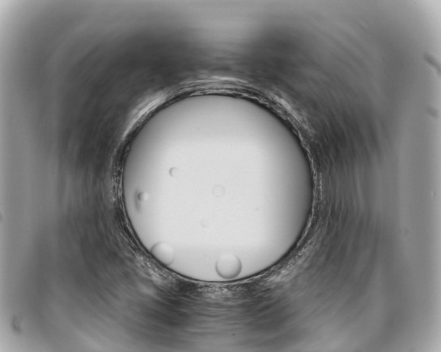 X0000095521405200712140859