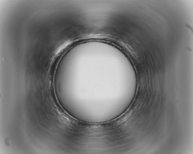X0000095521406200712140859