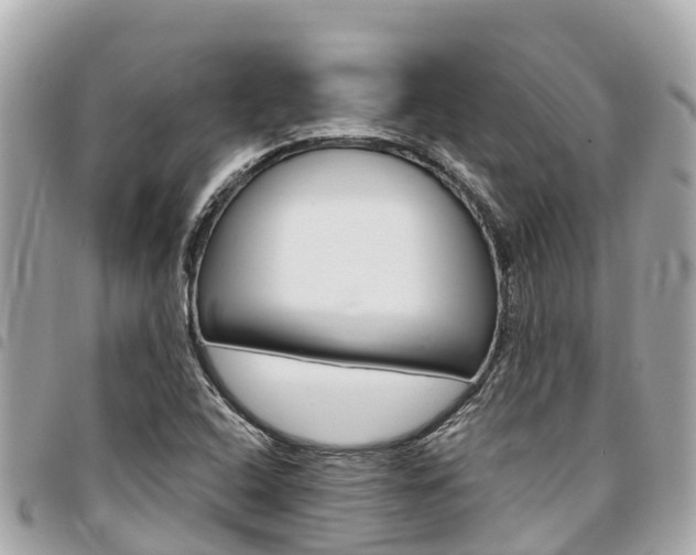 X0000095521408200712140859