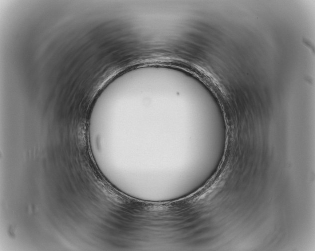 X0000095521409200712140859