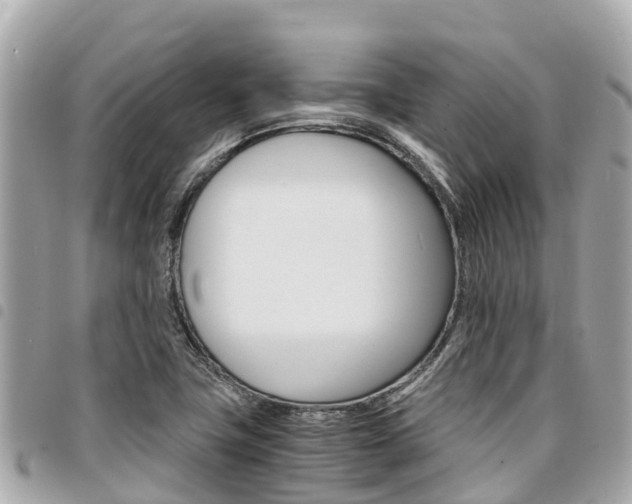 X0000095521411200712140859