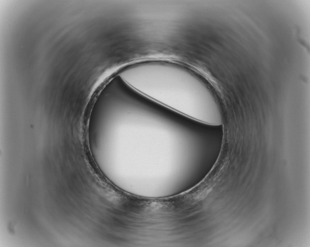 X0000095521412200712140859