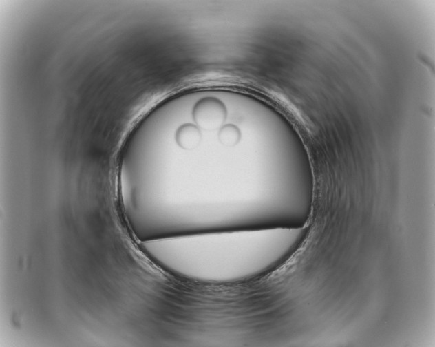 X0000095521413200712140859