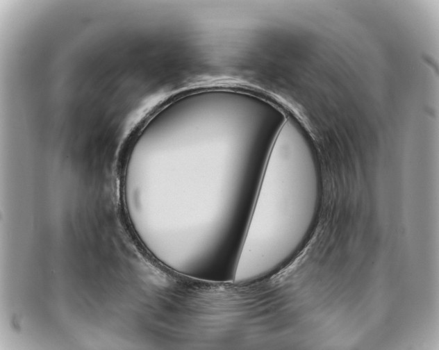 X0000095521414200712140859