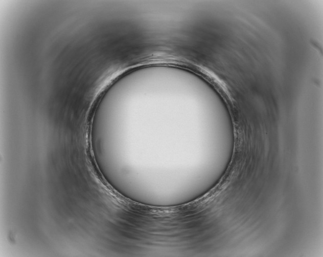 X0000095521415200712140859
