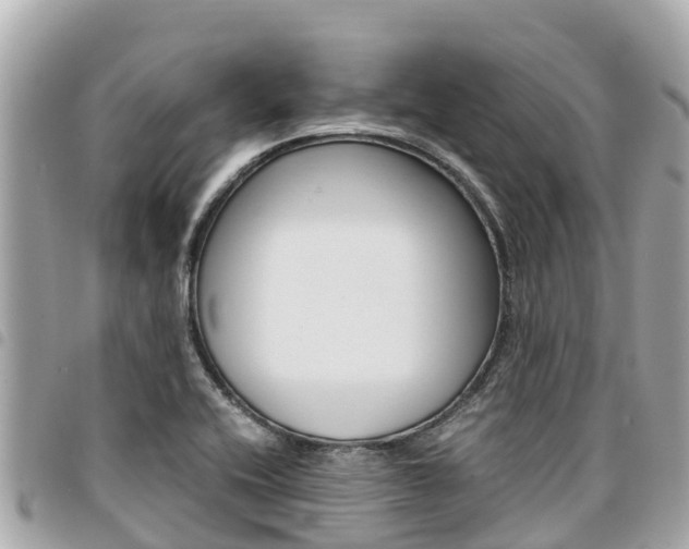 X0000095521416200712140859