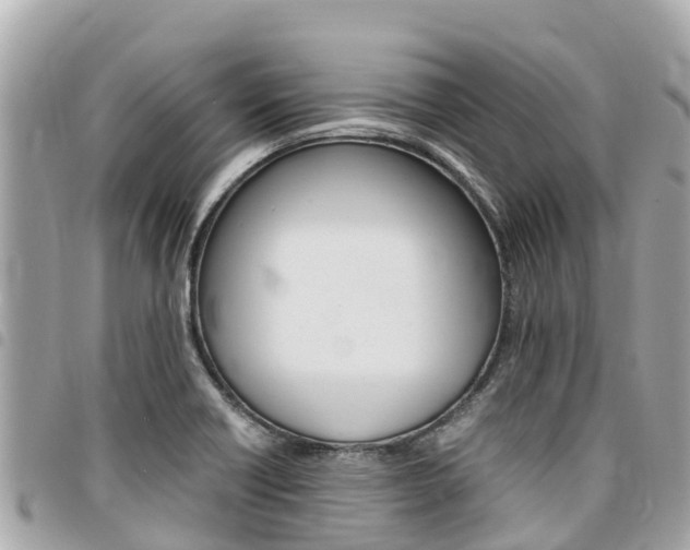 X0000095521418200712140859