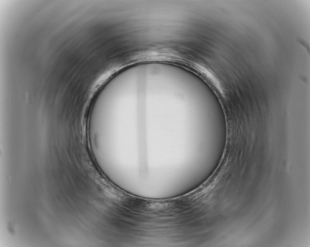 X0000095521419200712140859
