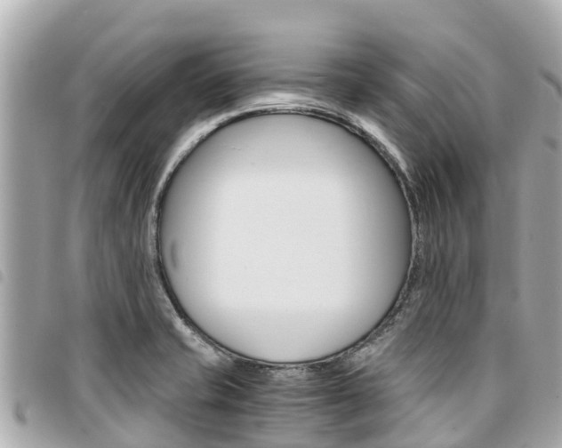 X0000095521421200712140859