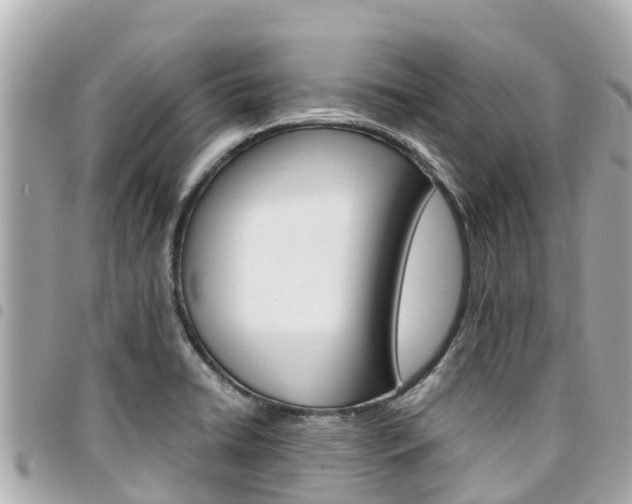 X0000095521422200712140859