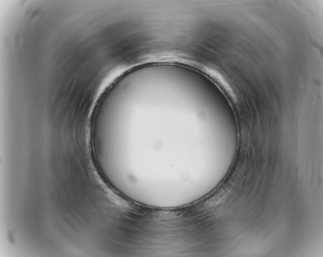 X0000095521424200712140859