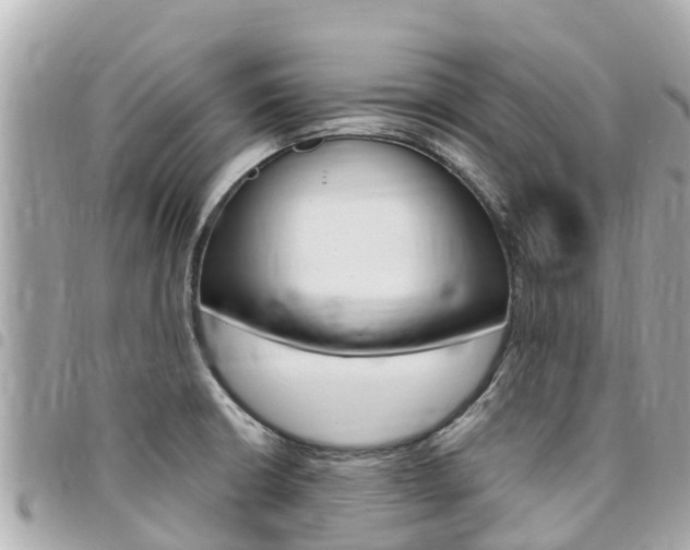 X0000095521426200712140859