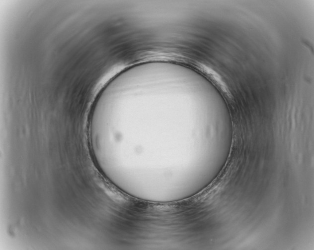 X0000095521427200712140859
