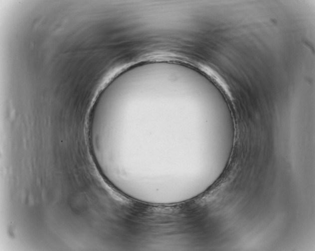 X0000095521429200712140859