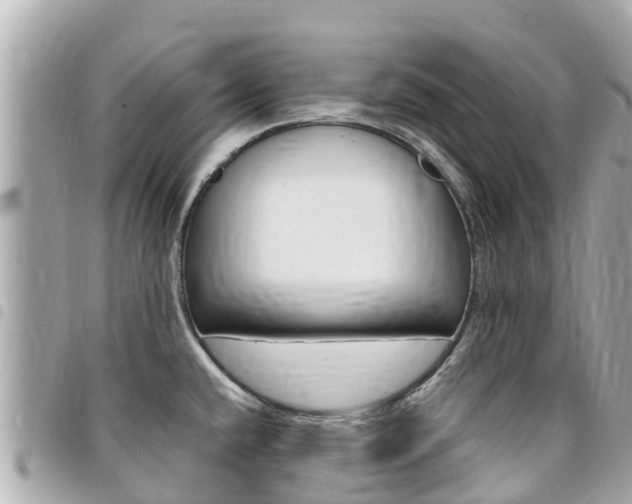 X0000095521432200712140859