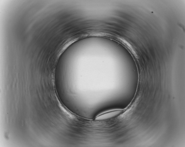 X0000095521433200712140859