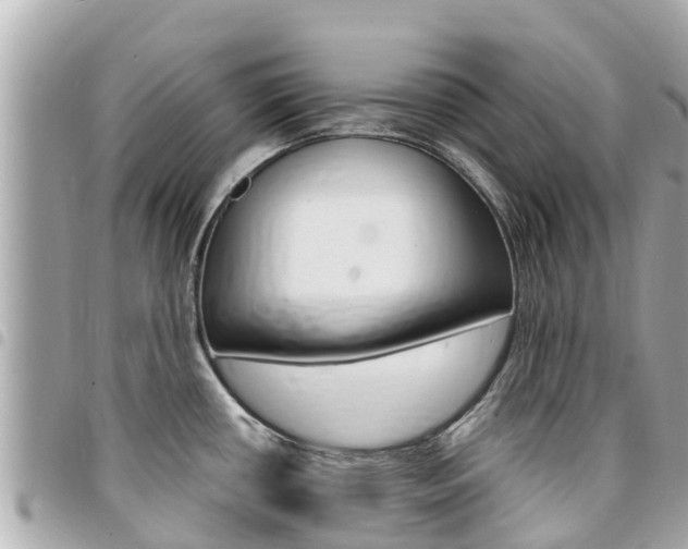 X0000095521434200712140859