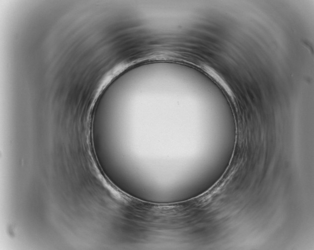 X0000095521437200712140859