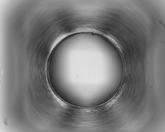 X0000095521438200712140859