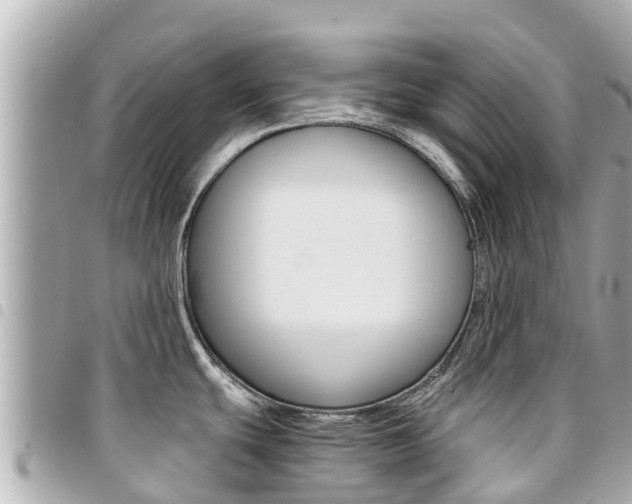 X0000095521439200712140859