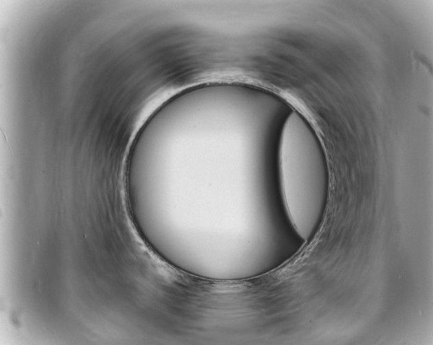 X0000095521440200712140859