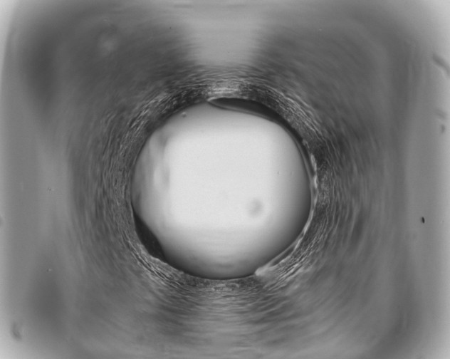 X0000095521441200712140859