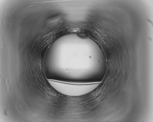 X0000095521442200712140859