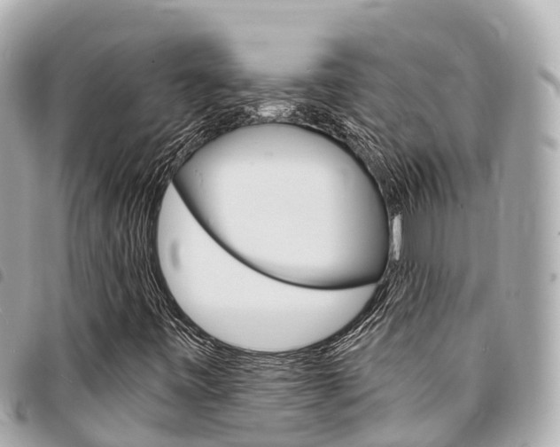 X0000095521443200712140859