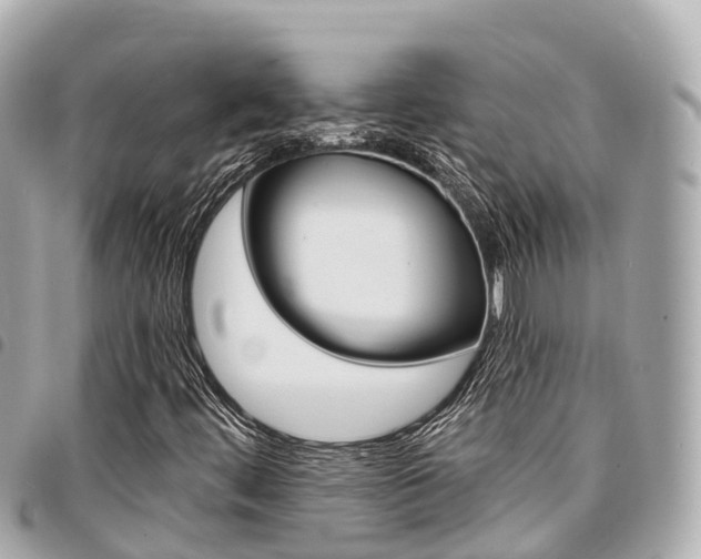 X0000095521444200712140859