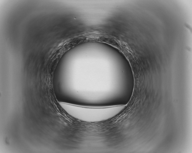 X0000095521445200712140859