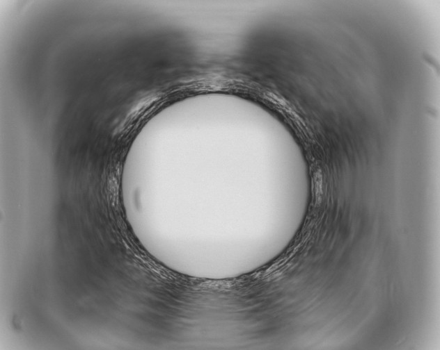 X0000095521446200712140859