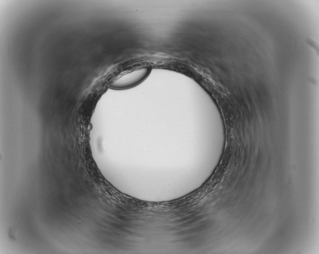 X0000095521447200712140859