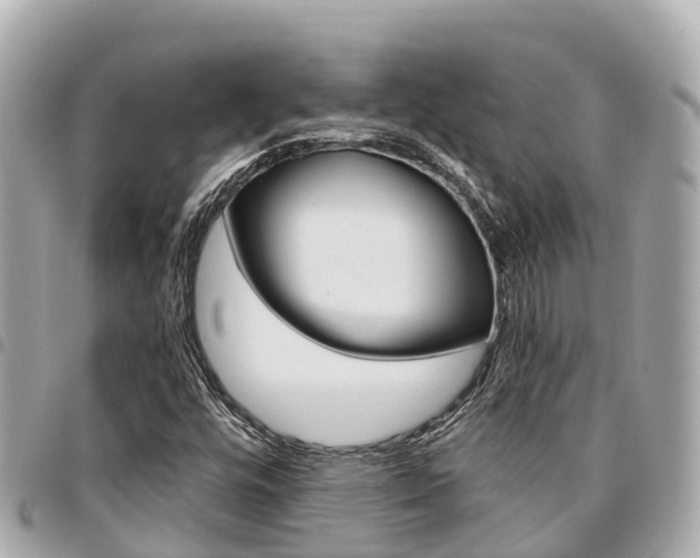 X0000095521448200712140859
