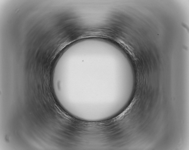 X0000095521449200712140859