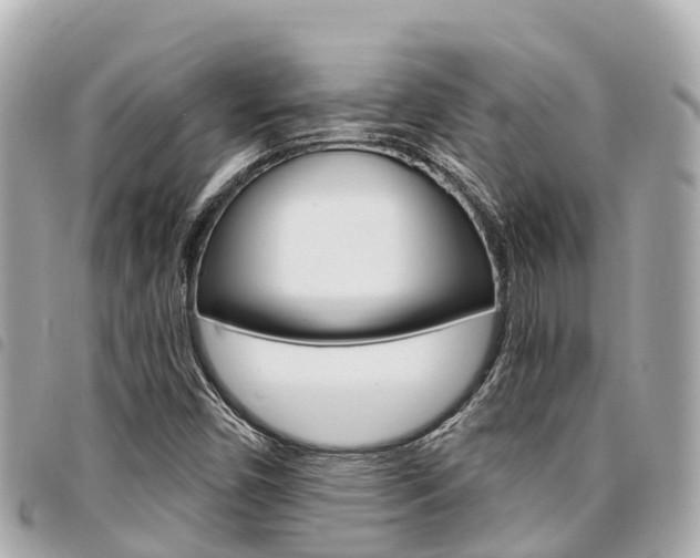 X0000095521450200712140859