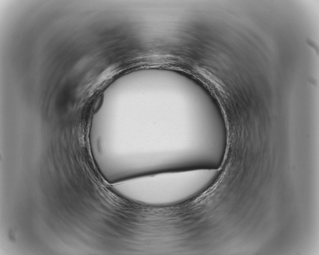 X0000095521451200712140859