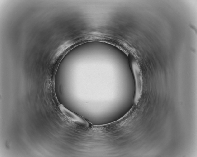 X0000095521453200712140858