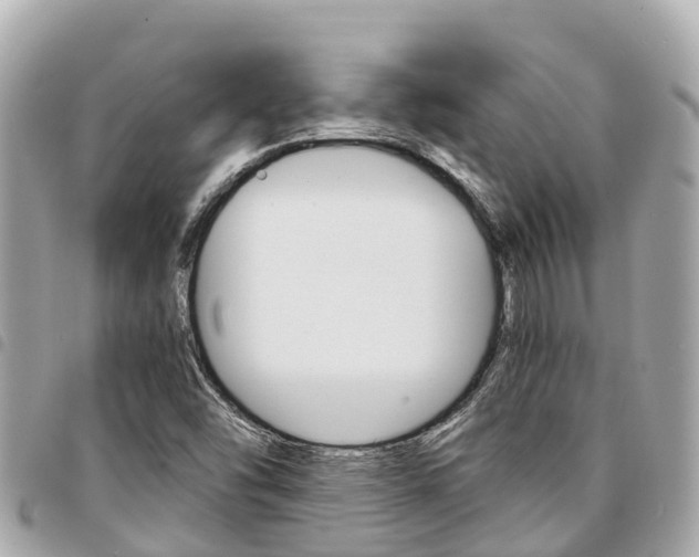 X0000095521454200712140858
