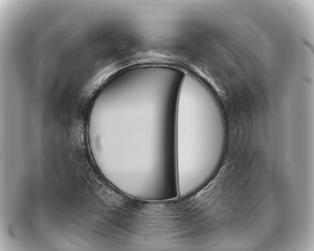 X0000095521455200712140858