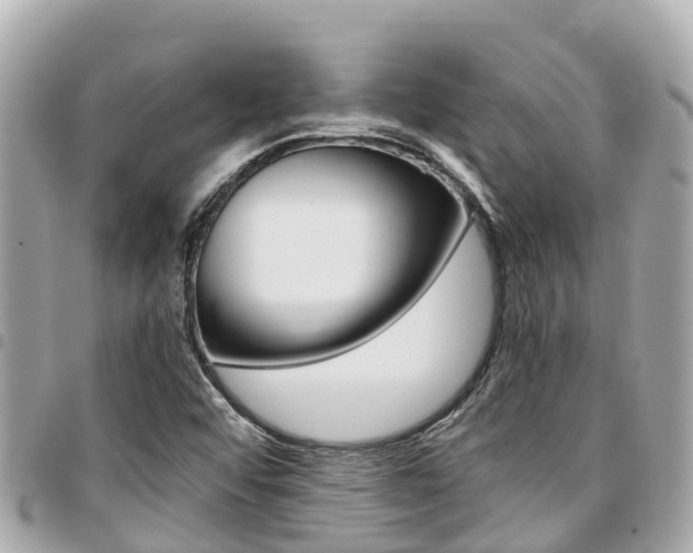 X0000095521456200712140858