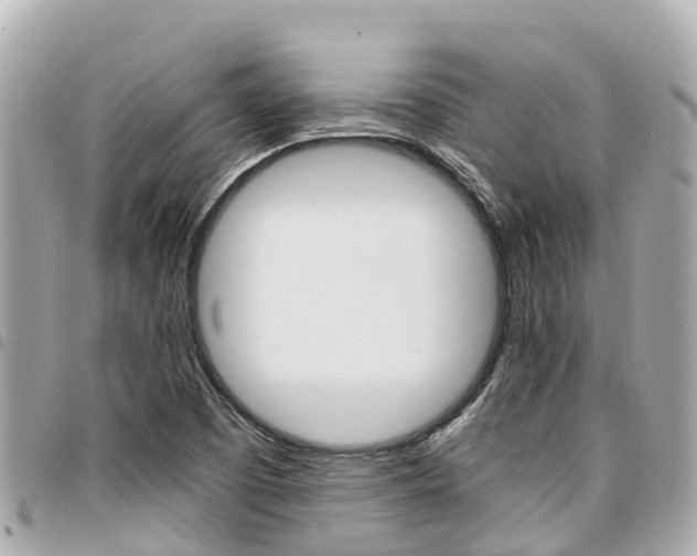 X0000095521457200712140858